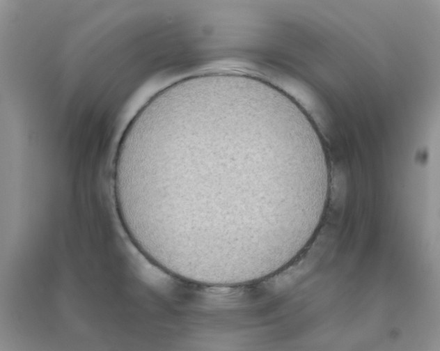 X0000090701478200708171836