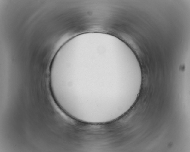 X0000090701479200708171836