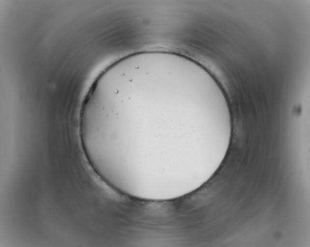 X0000090701480200708171836