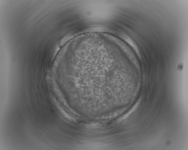 X0000090701481200708171836