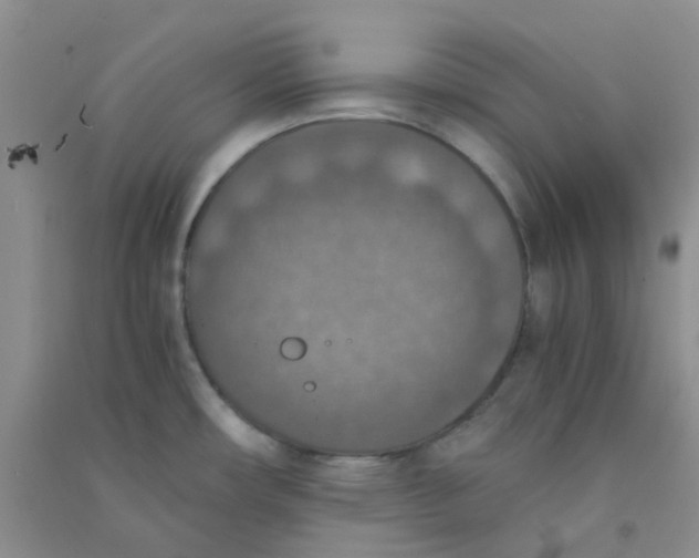 X0000090701482200708171836