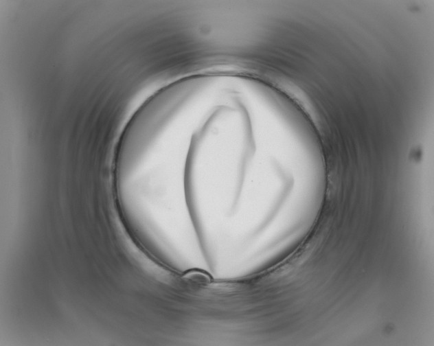 X0000090701483200708171836