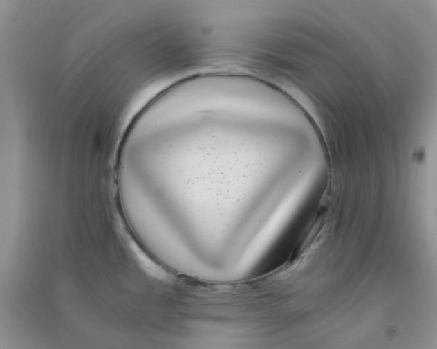 X0000090701485200708171836