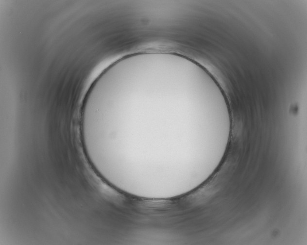 X0000090701486200708171836