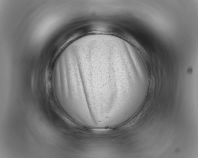 X0000090701487200708171836