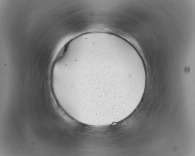 X0000090701488200708171836