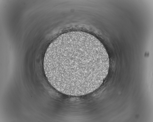 X0000090701489200708171835