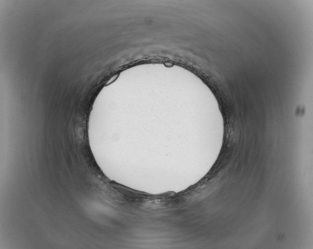 X0000090701490200708171835