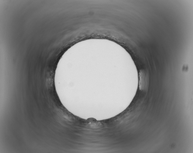 X0000090701491200708171835