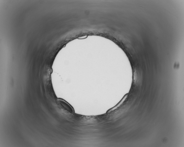 X0000090701492200708171835