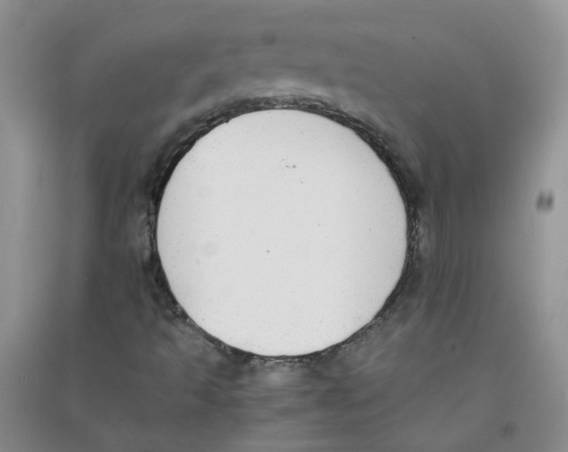 X0000090701493200708171835