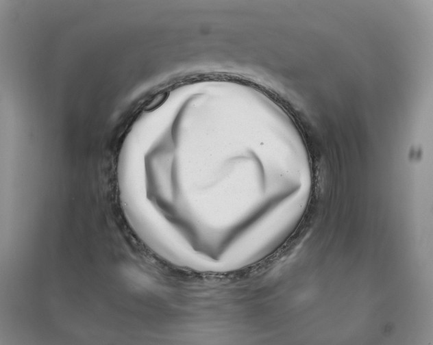 X0000090701494200708171835