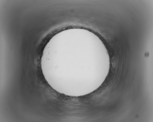 X0000090701495200708171835