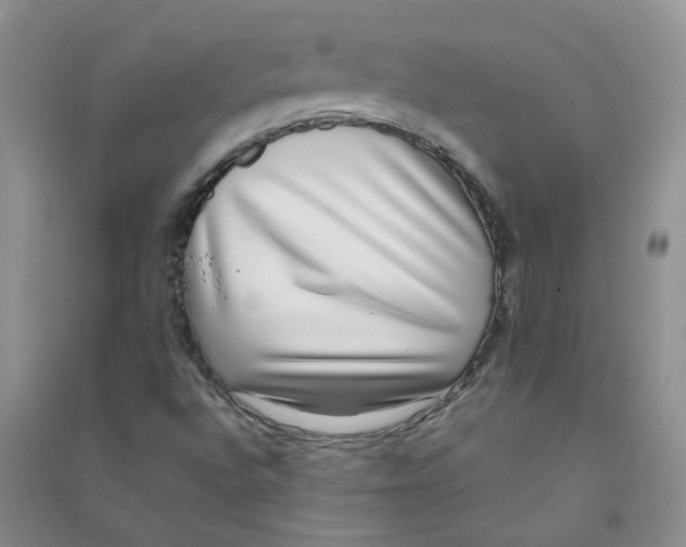 X0000090701496200708171835