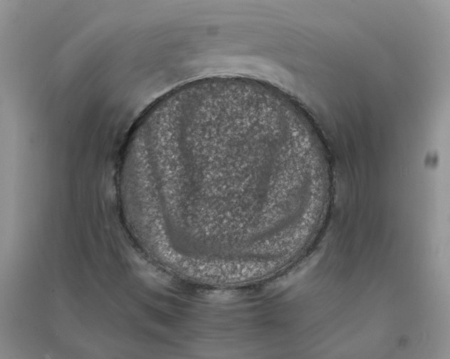 X0000090701497200708171835