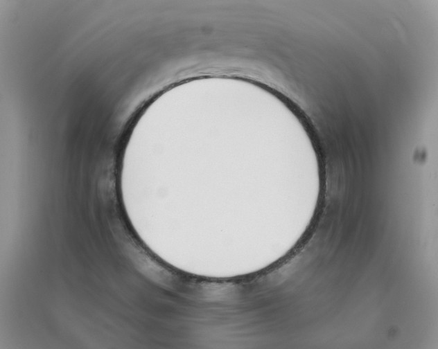 X0000090701498200708171835