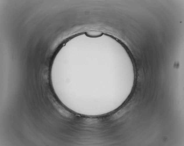 X0000090701499200708171835