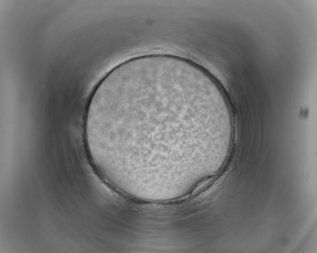 X0000090701500200708171835