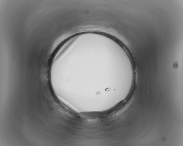 X0000090701501200708171836