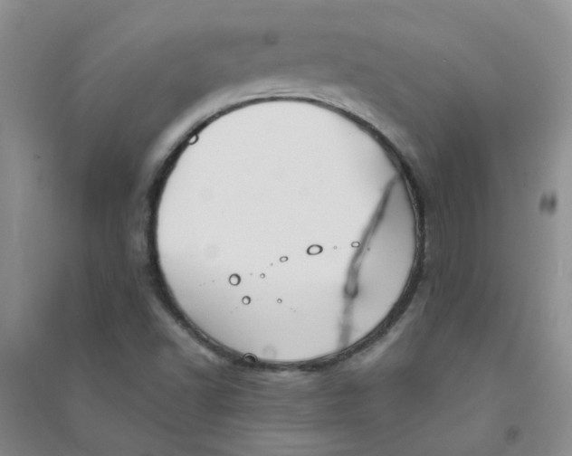 X0000090701502200708171836