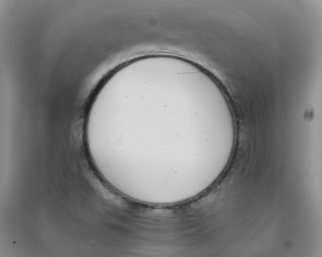 X0000090701503200708171836