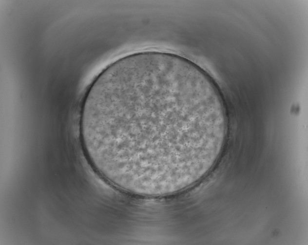 X0000090701504200708171836