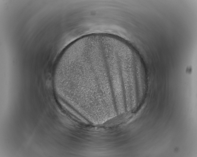 X0000090701505200708171836