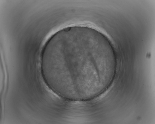 X0000090701506200708171836