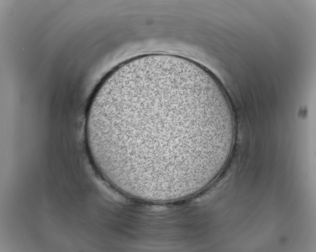 X0000090701507200708171836