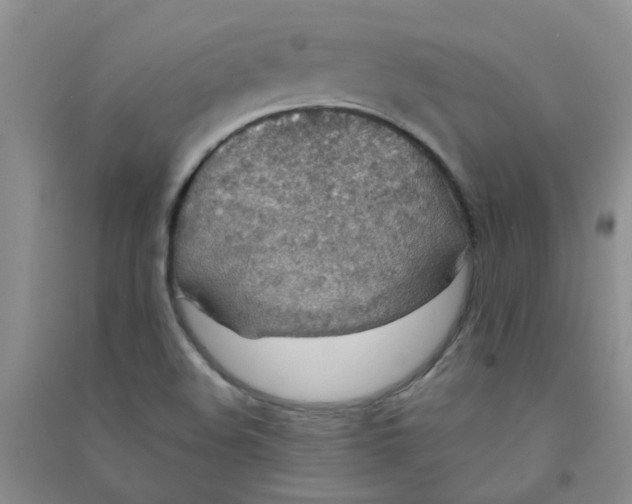 X0000090701508200708171836