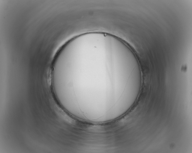 X0000090701510200708171836