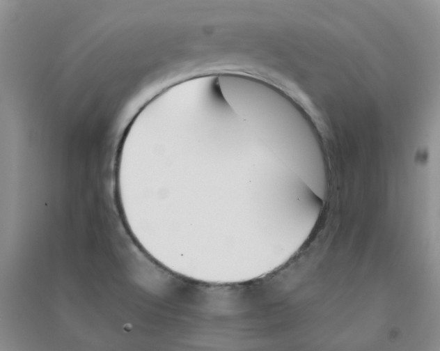 X0000090701512200708171836