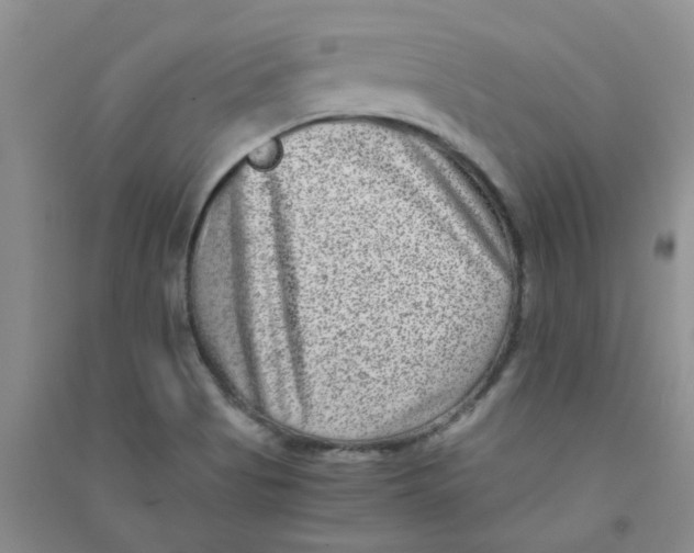 X0000090701513200708171836