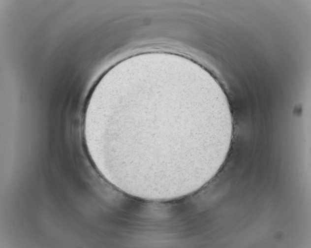 X0000090701514200708171836