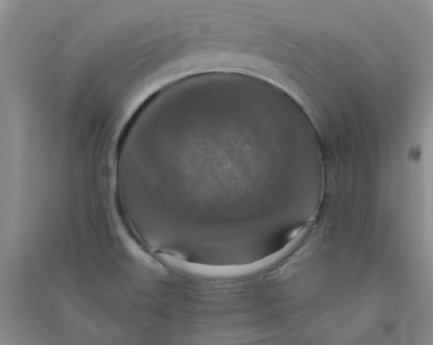 X0000090701515200708171836