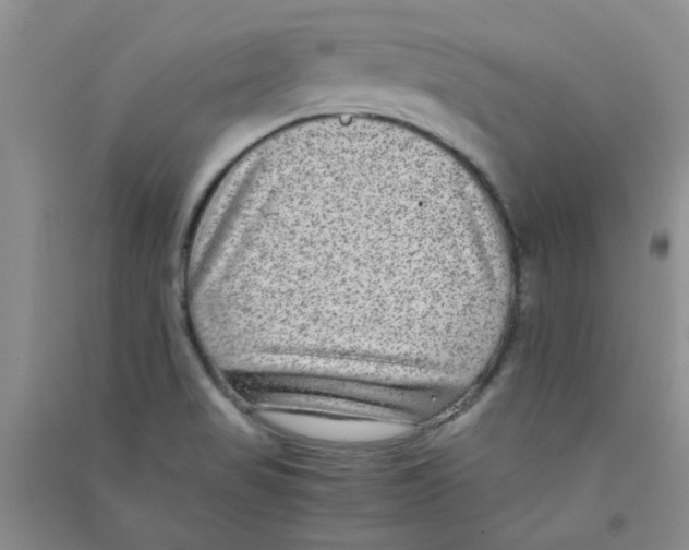 X0000090701517200708171836