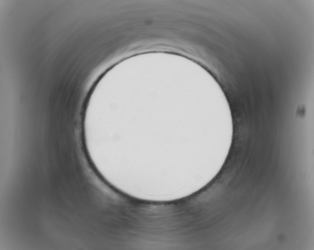 X0000090701518200708171836