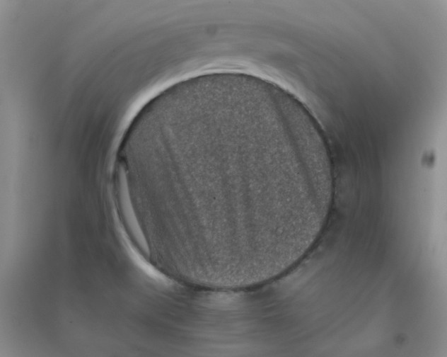 X0000090701519200708171836