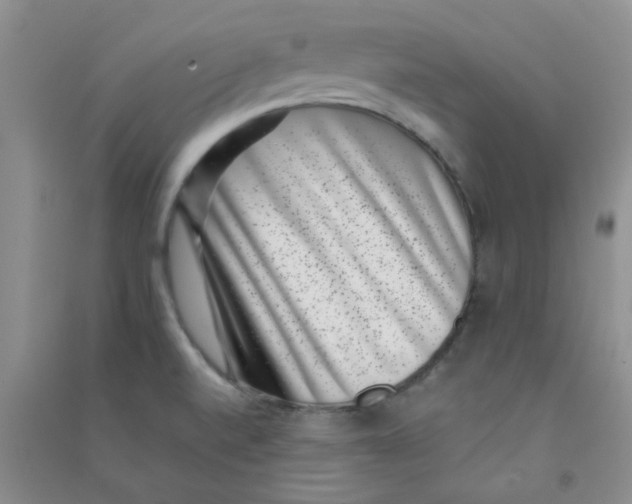 X0000090701520200708171836