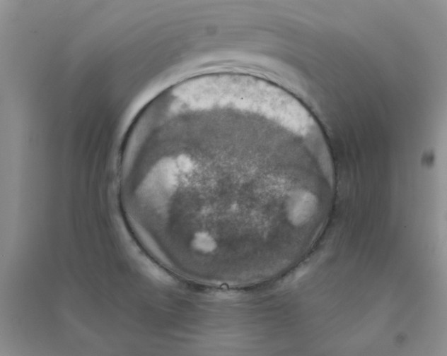 X0000090701522200708171836