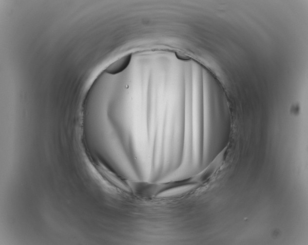 X0000090701524200708171836