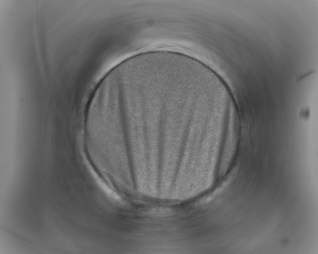 X0000090701525200708171836