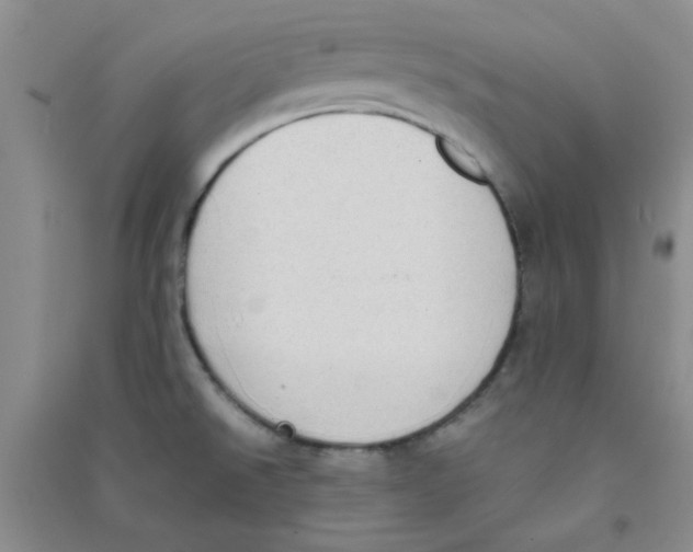 X0000090701526200708171836