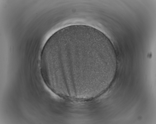 X0000090701527200708171836