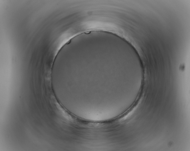 X0000090701529200708171836