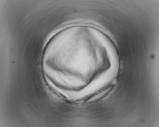 X0000090701530200708171836