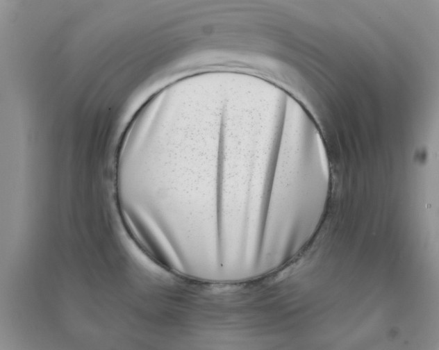 X0000090701531200708171836