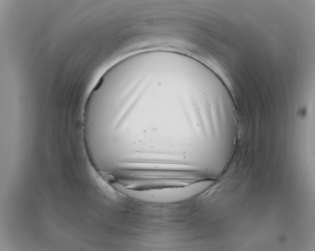 X0000090701532200708171836