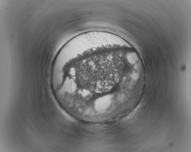 X0000090701533200708171836