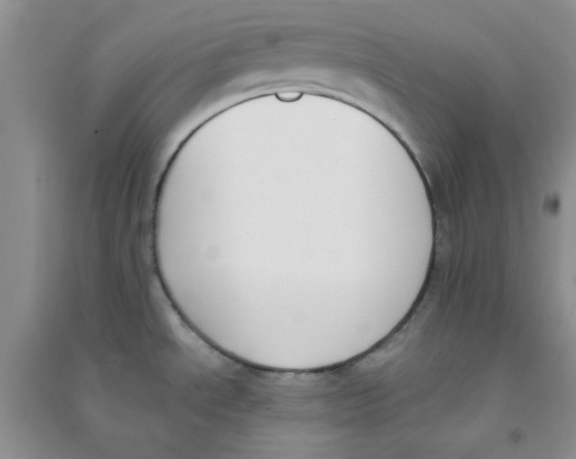 X0000090701534200708171836